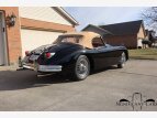 Thumbnail Photo 22 for 1959 Jaguar XK 150